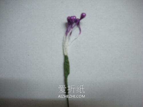 怎么做皱纹纸百子莲花的方法教程- www.aizhezhi.com