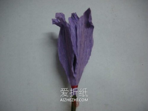怎么做皱纹纸百子莲花的方法教程- www.aizhezhi.com