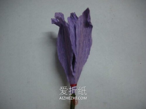 怎么做皱纹纸百子莲花的方法教程- www.aizhezhi.com