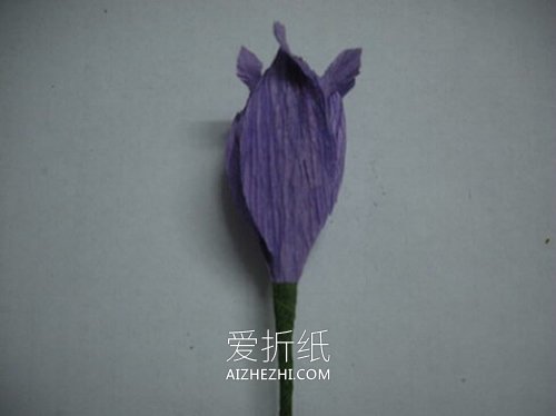 怎么做皱纹纸百子莲花的方法教程- www.aizhezhi.com