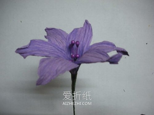 怎么做皱纹纸百子莲花的方法教程- www.aizhezhi.com