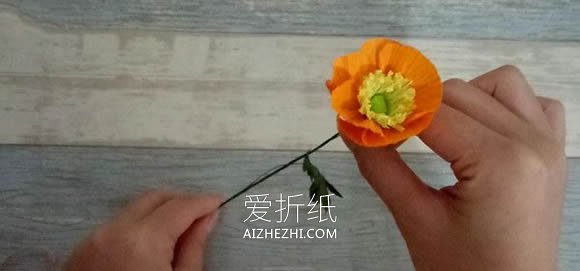 怎么做皱纹纸罂粟花的手工图解教程- www.aizhezhi.com