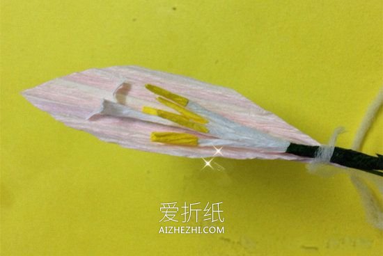 怎么做皱纹纸韭兰纸花的手工教程图解- www.aizhezhi.com