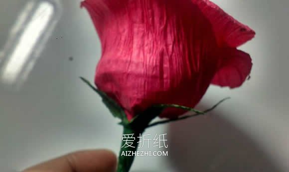 怎么用皱纹纸做香槟玫瑰花的手工图解教程- www.aizhezhi.com