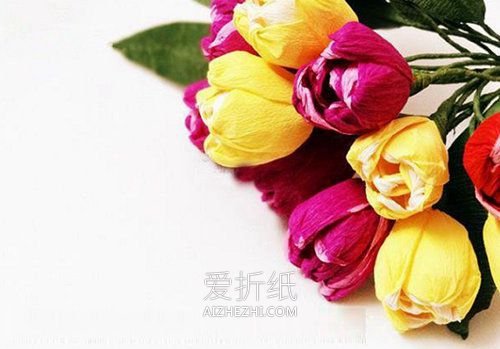 怎么做皱纹纸郁金香花的手工制作图解- www.aizhezhi.com