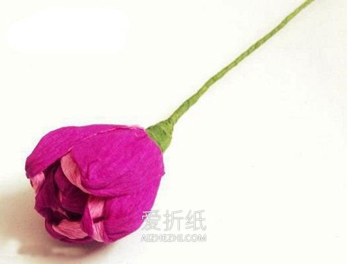 怎么做皱纹纸郁金香花的手工制作图解- www.aizhezhi.com