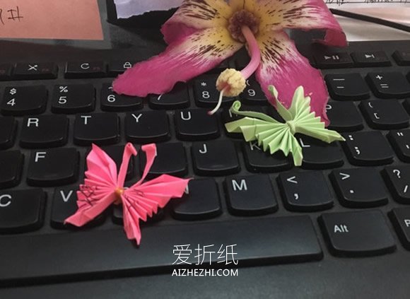 怎么折纸蝴蝶的简单折法图解教程- www.aizhezhi.com