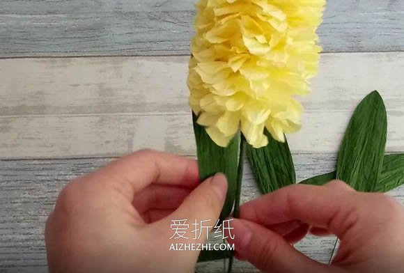 怎么做纸藤风信子盆栽的制作方法教程- www.aizhezhi.com