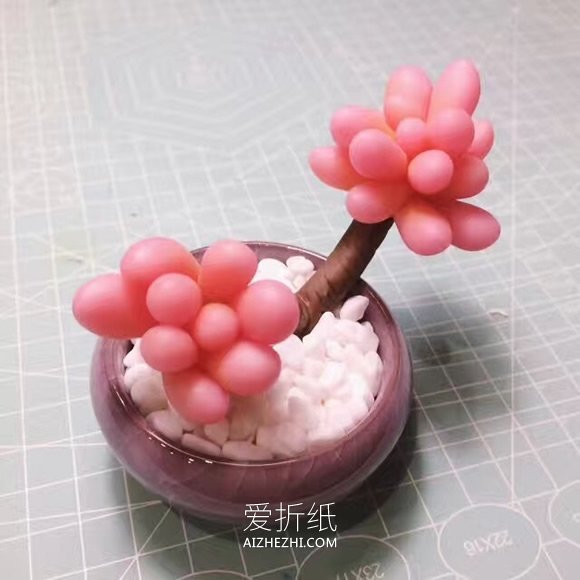 怎么做粘土桃之卵多肉植物盆栽的制作方法- www.aizhezhi.com