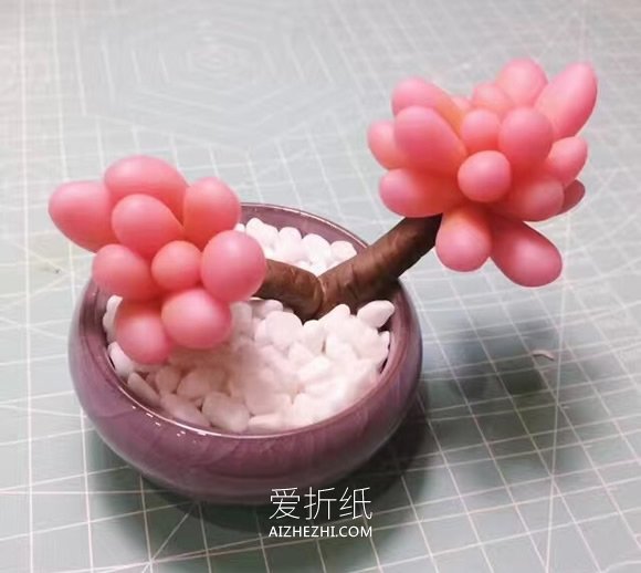 怎么做粘土桃之卵多肉植物盆栽的制作方法- www.aizhezhi.com