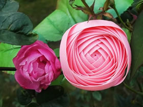 怎么做包装带编织玫瑰花的编法图解步骤