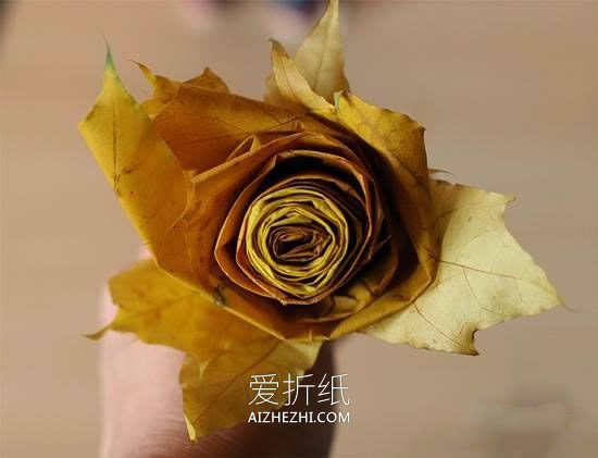 怎么做树叶玫瑰花的简单手工制作教程- www.aizhezhi.com