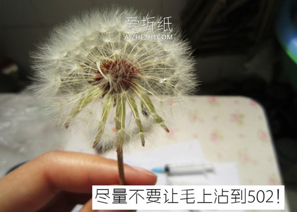 怎么做树脂嵌花蒲公英的制作方法步骤图- www.aizhezhi.com