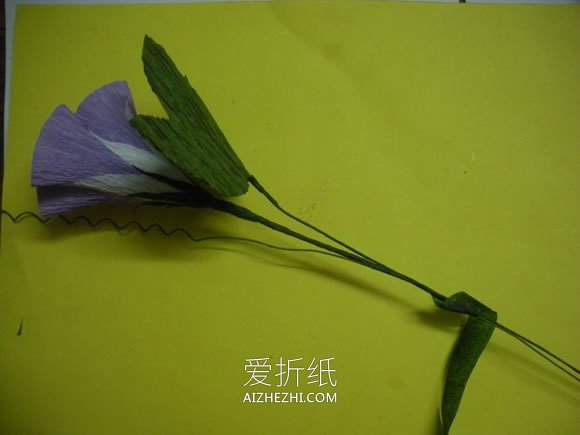 怎么做皱纹纸牵牛花的手工制作方法图解- www.aizhezhi.com