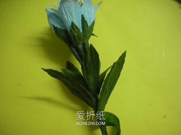 怎么做皱纹纸龙胆花的手工制作方法图解- www.aizhezhi.com