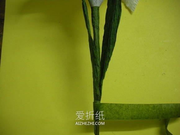 怎么做情人节/母亲节皱纹纸百合花的制作方法- www.aizhezhi.com