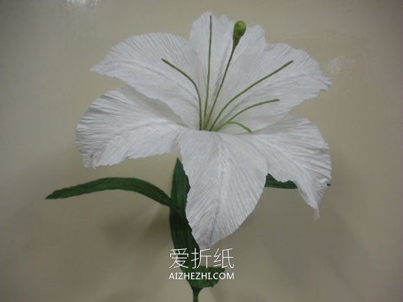 怎么做情人节/母亲节皱纹纸百合花的制作方法- www.aizhezhi.com