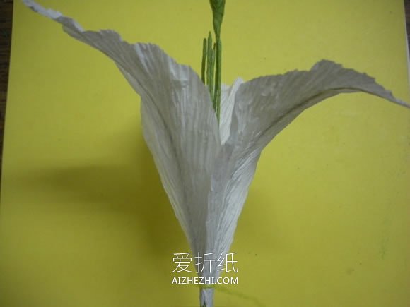 怎么做情人节/母亲节皱纹纸百合花的制作方法- www.aizhezhi.com