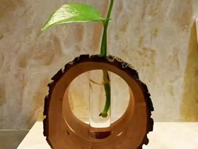 怎么用树桩做创意花瓶摆件的制作方法图解