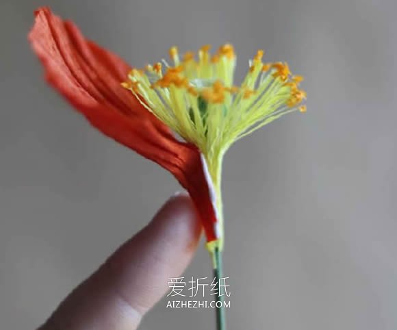 怎么做超美皱纹纸虞美人花的制作方法教程- www.aizhezhi.com