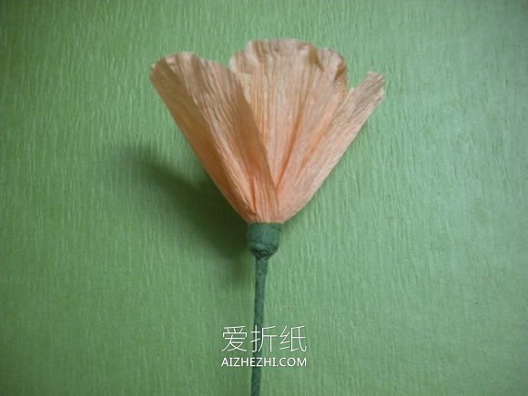 怎么用皱纹纸做虞美人花束的简单制作教程- www.aizhezhi.com