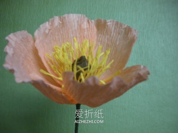 怎么用皱纹纸做虞美人花束的简单制作教程- www.aizhezhi.com