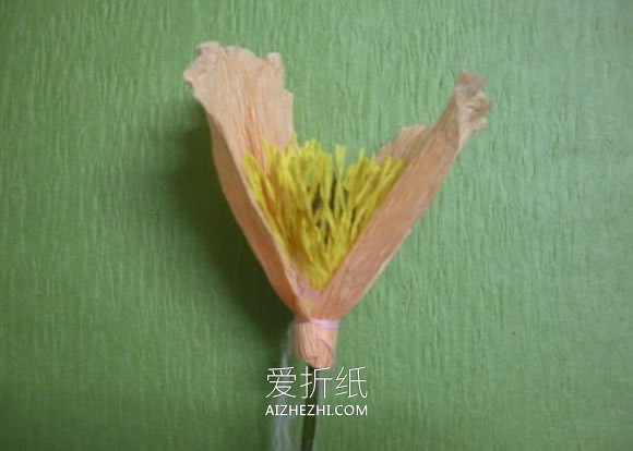 怎么用皱纹纸做虞美人花束的简单制作教程- www.aizhezhi.com