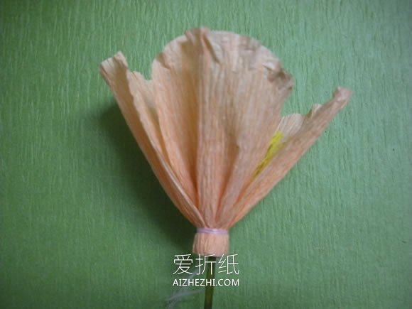 怎么用皱纹纸做虞美人花束的简单制作教程- www.aizhezhi.com