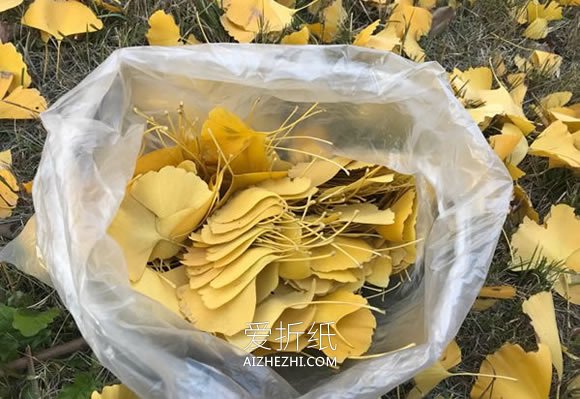 怎么做银杏叶玫瑰花的手工制作方法图解- www.aizhezhi.com