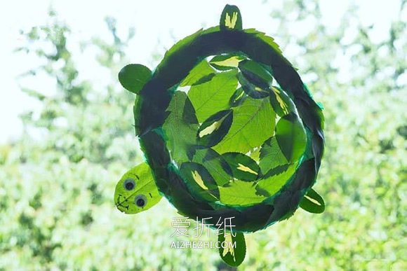 怎么用纸盘和树叶做透光乌龟装饰的制作方法- www.aizhezhi.com
