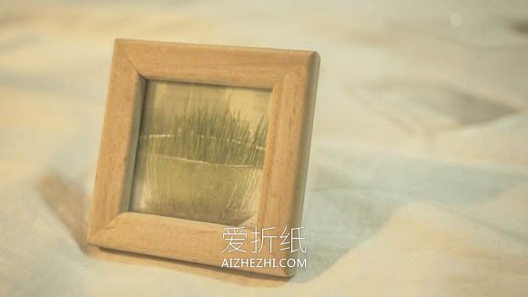 多肉植物相框的制作方法- www.aizhezhi.com