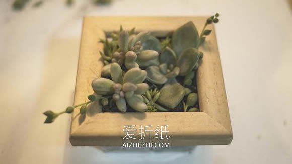 多肉植物相框的制作方法- www.aizhezhi.com