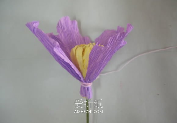 怎么用皱纹纸做牡丹花的制作方法步骤图- www.aizhezhi.com