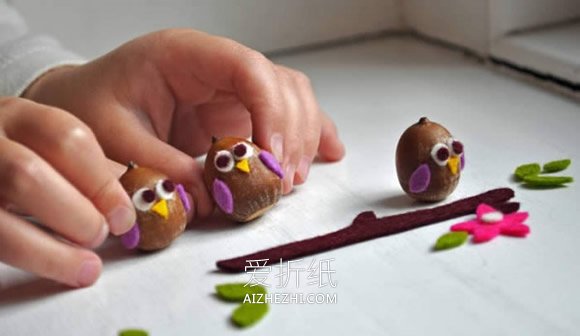 怎么用橡子做猫头鹰的制作方法 简单又可爱！- www.aizhezhi.com