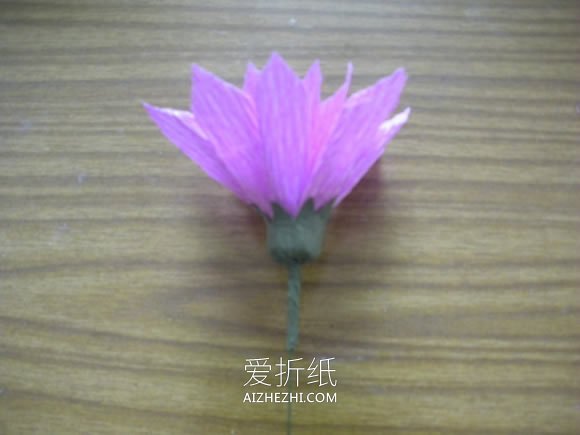 皱纹纸制作大丽花的方法- www.aizhezhi.com