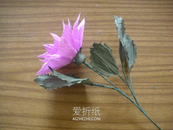 皱纹纸制作大丽花的方法- www.aizhezhi.com