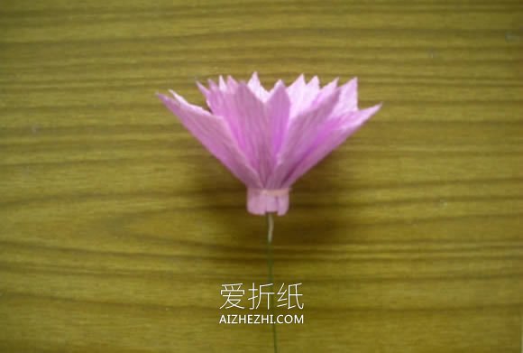 皱纹纸制作大丽花的方法- www.aizhezhi.com