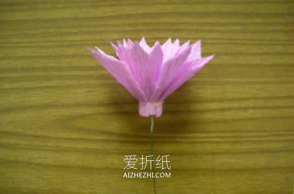 皱纹纸制作大丽花的方法- www.aizhezhi.com