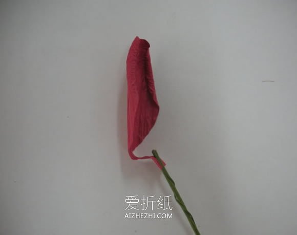 纸藤手工制作郁金香花的方法- www.aizhezhi.com