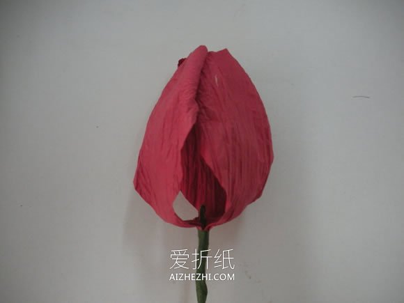 纸藤手工制作郁金香花的方法- www.aizhezhi.com