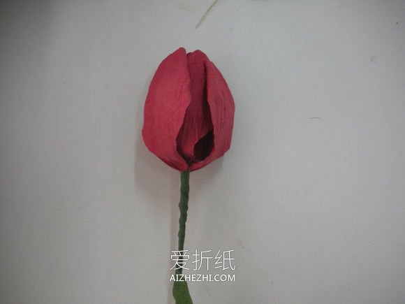 纸藤手工制作郁金香花的方法- www.aizhezhi.com