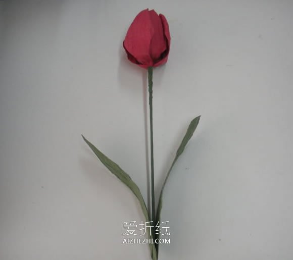 纸藤手工制作郁金香花的方法- www.aizhezhi.com