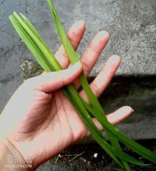 草编戒指的方法图解- www.aizhezhi.com