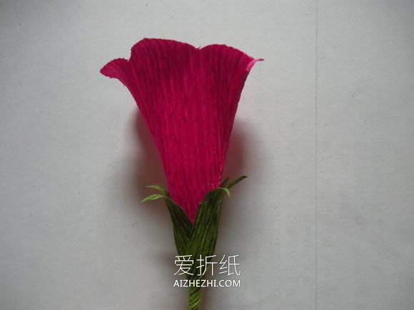 皱纹纸制作牵牛花的方法- www.aizhezhi.com