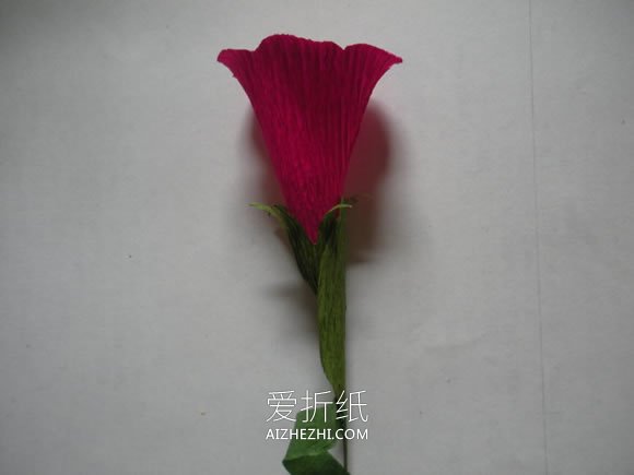 皱纹纸制作牵牛花的方法- www.aizhezhi.com