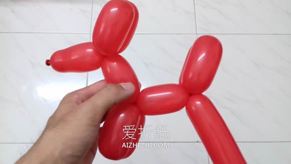 气球造型狗的教程图解- www.aizhezhi.com