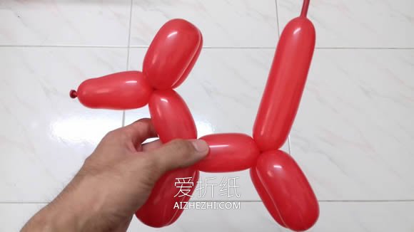 气球造型狗的教程图解- www.aizhezhi.com