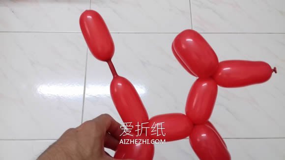 气球造型狗的教程图解- www.aizhezhi.com