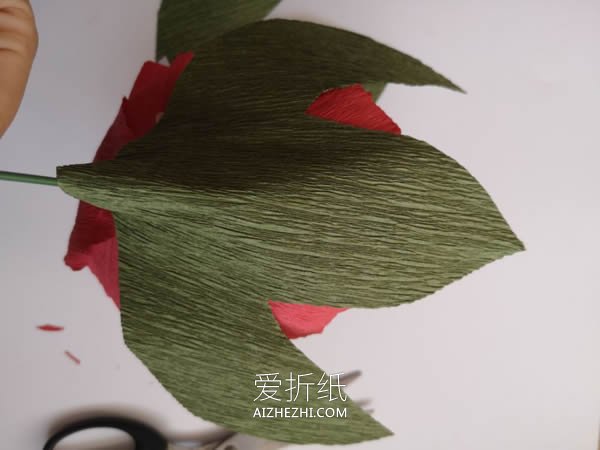 用皱纹纸做牡丹花的方法- www.aizhezhi.com