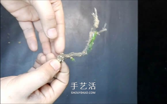 DIY微景观的制作步骤详细视频教程- www.aizhezhi.com